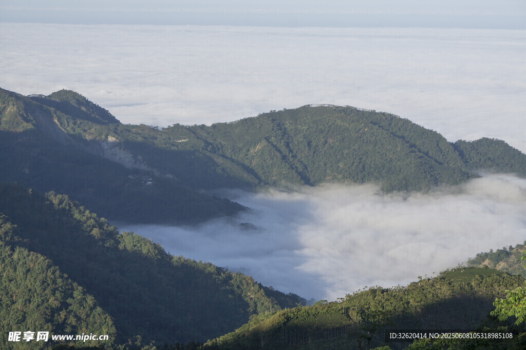 青山 云海