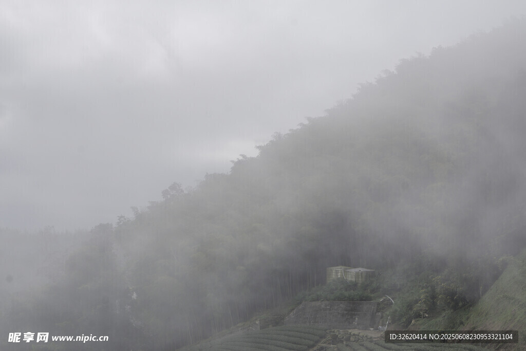 云霧 山林