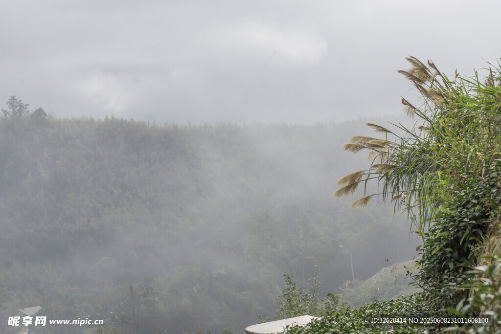 山間 雨霧