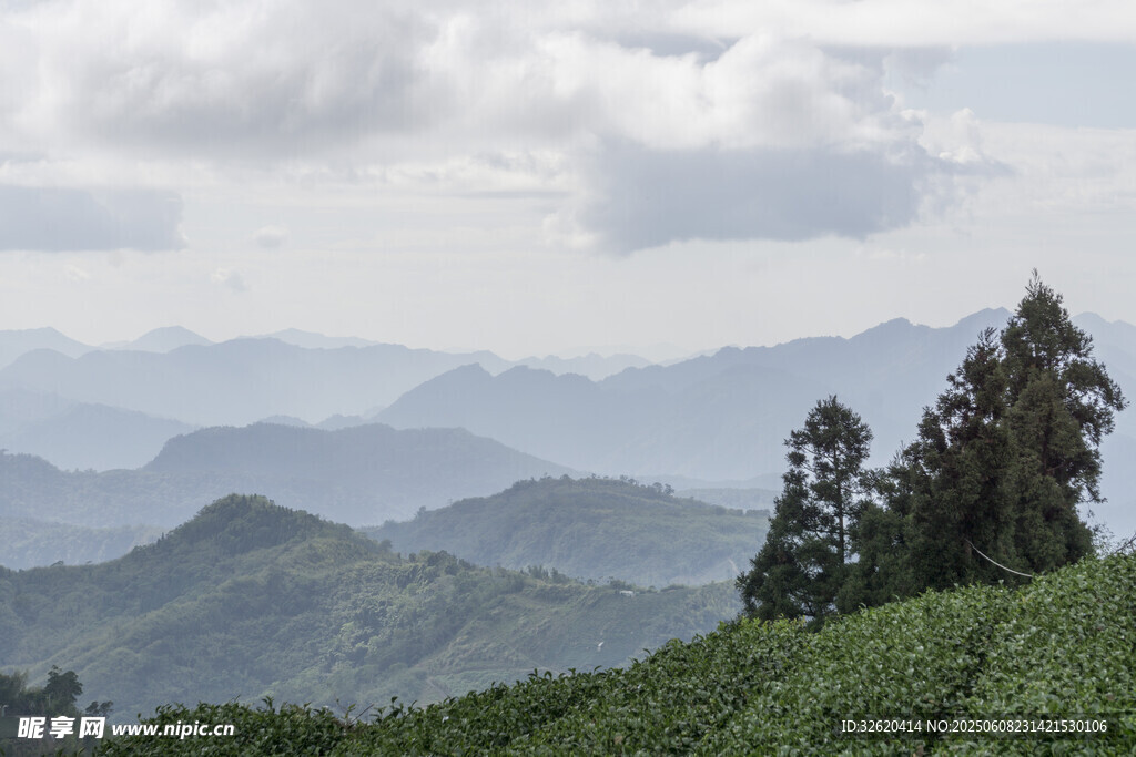 云霧 山巒 
