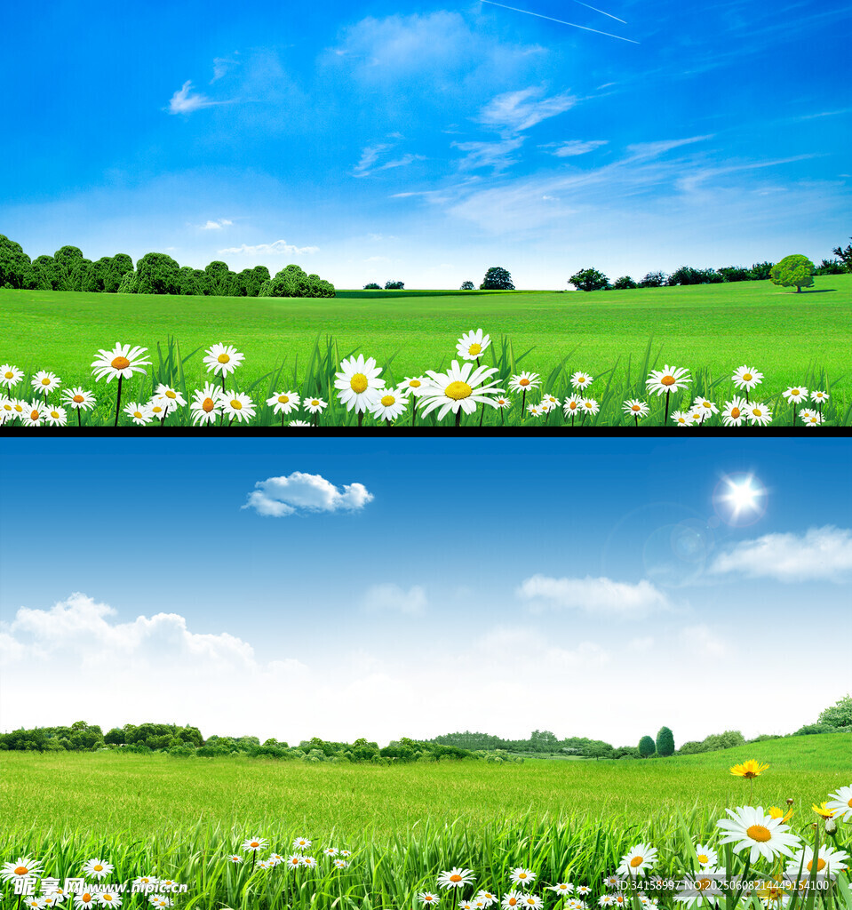 美麗田園風光花卉景觀