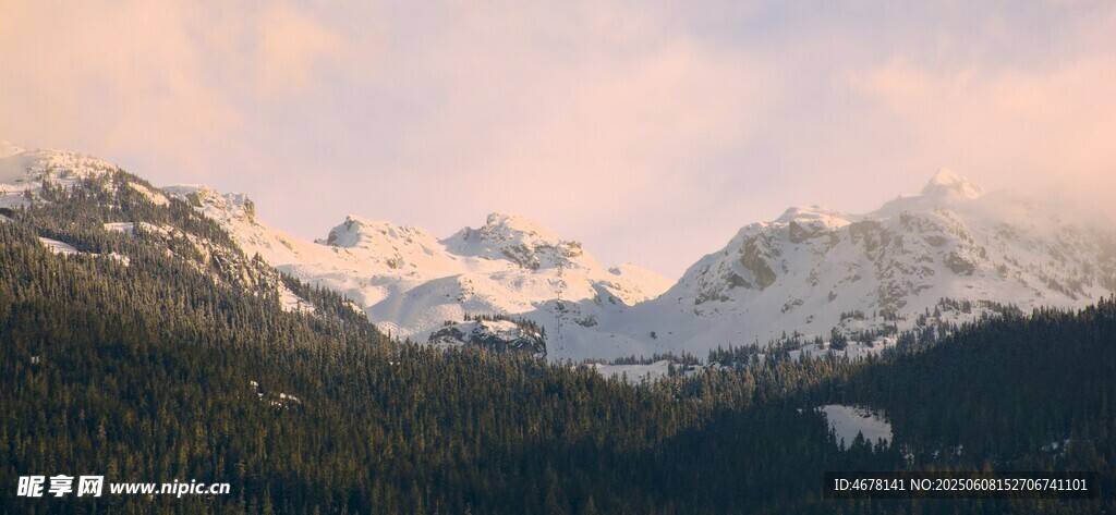 壯麗雪山森林美景