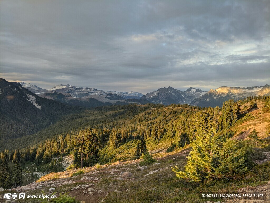 山間美景 云霧繚繞的山林