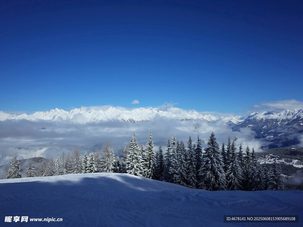 雪后山林藍天美景