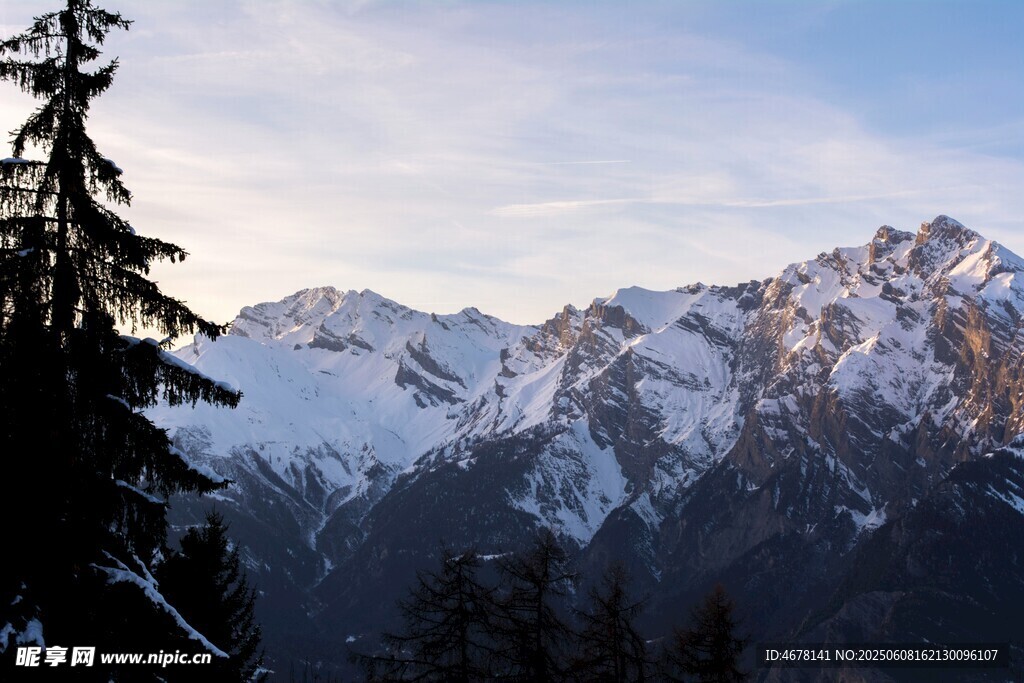 雪山松林美景