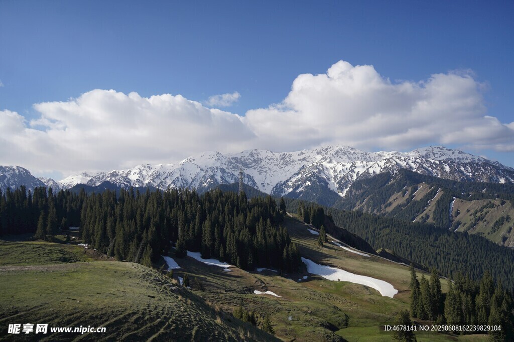 雪山下的蔥郁山林美景