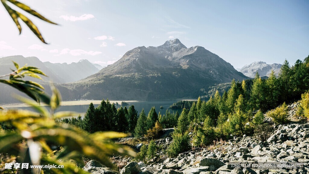 山間美景 綠意盎然的山谷