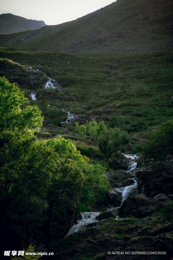 山間溪流綠意盎然的美景