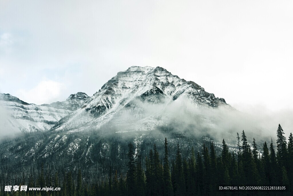 雪山云霧間的森林美景