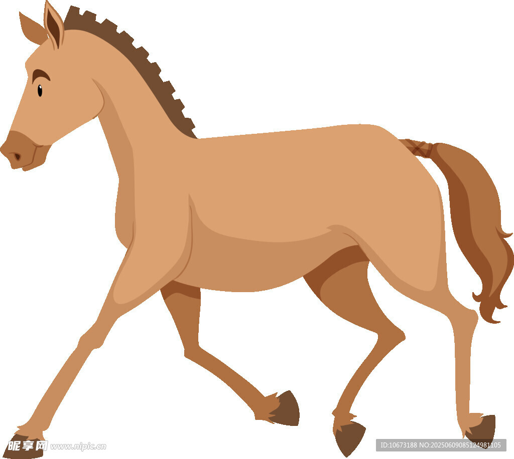 奔跑的棕色小馬