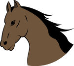 棕色馬頭插畫