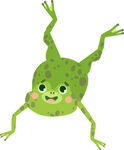 可愛倒立青蛙插畫