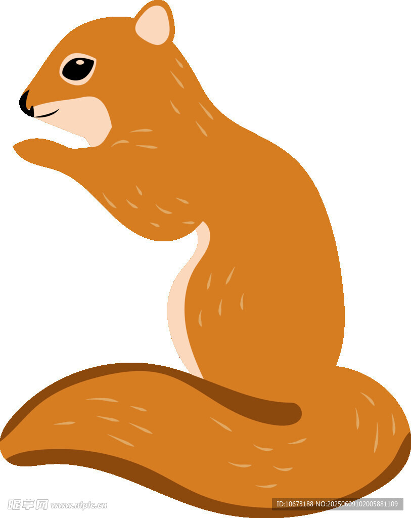 可愛松鼠插畫