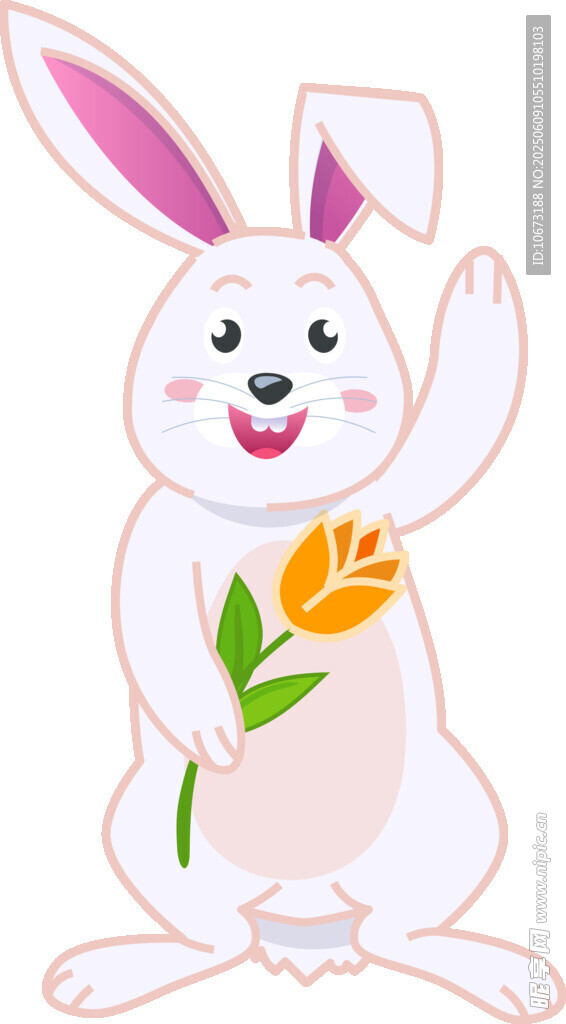 持花白兔