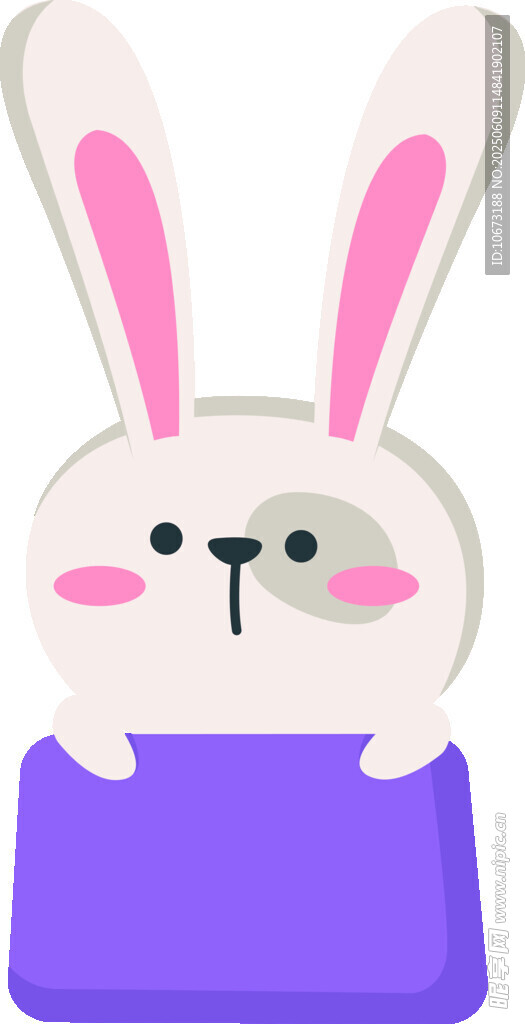 兔子持紫色板