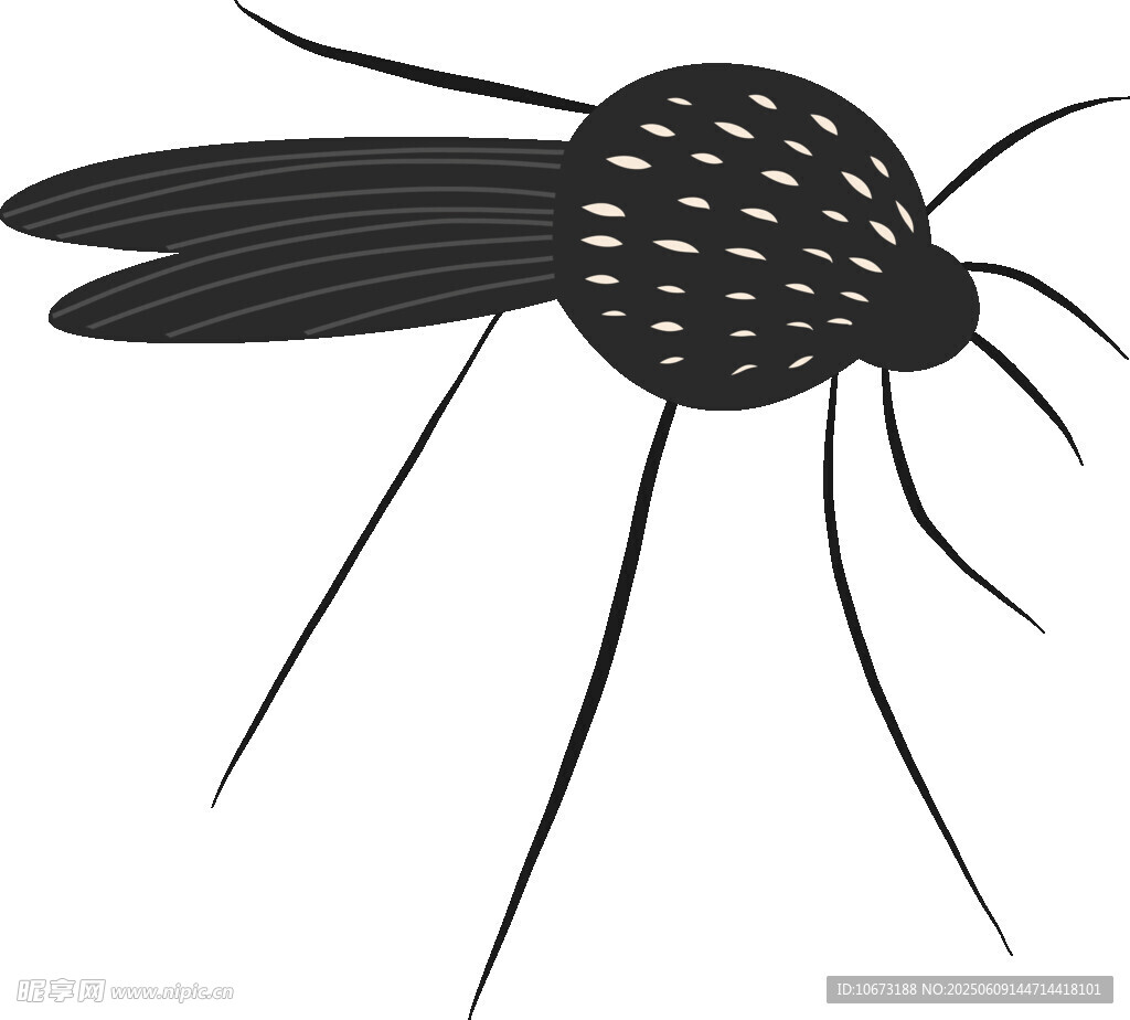 卡通風(fēng)格蚊子插畫(huà)