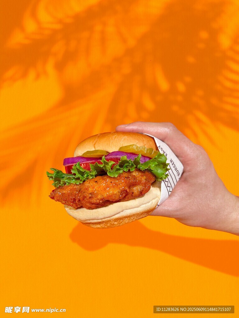 手拿美味雞肉漢堡