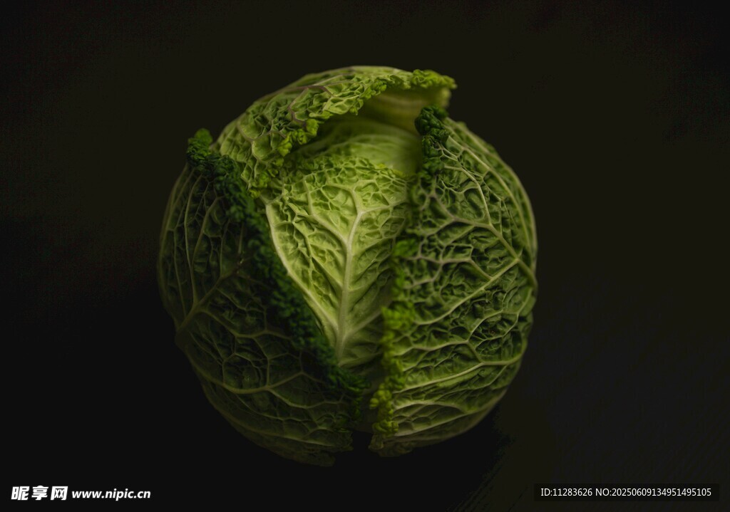 一顆新鮮的卷心菜