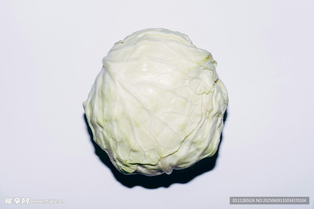 一顆新鮮的圓白菜