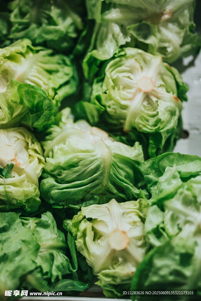 新鮮卷心菜堆疊