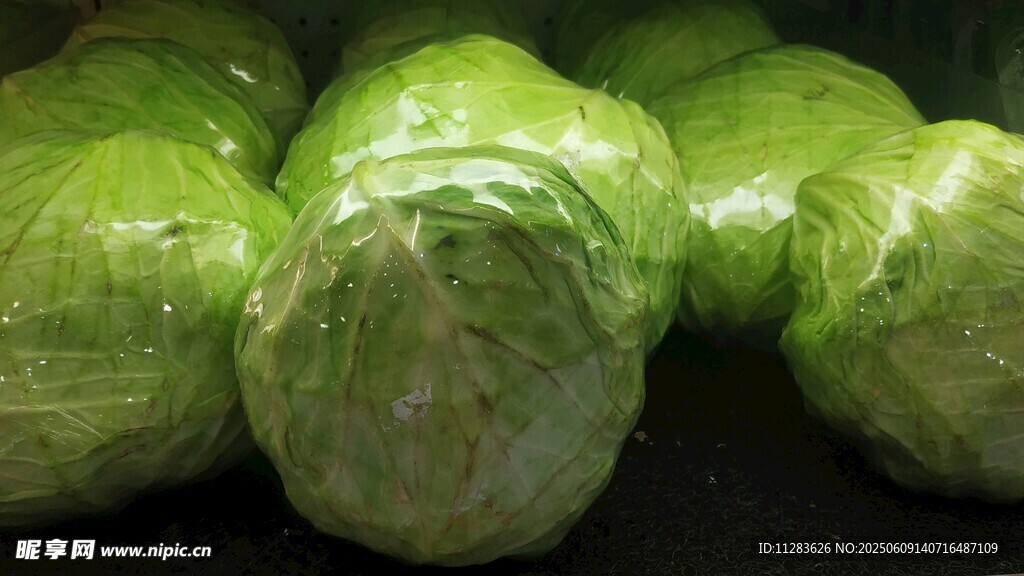新鮮圓白菜堆疊