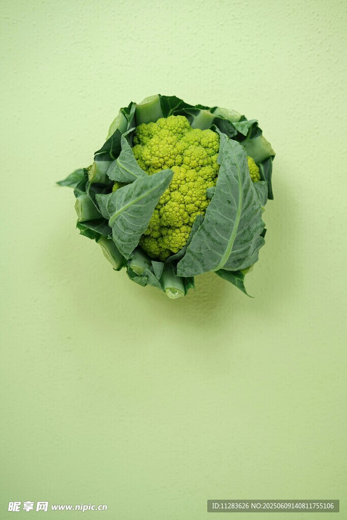 一顆新鮮的花椰菜