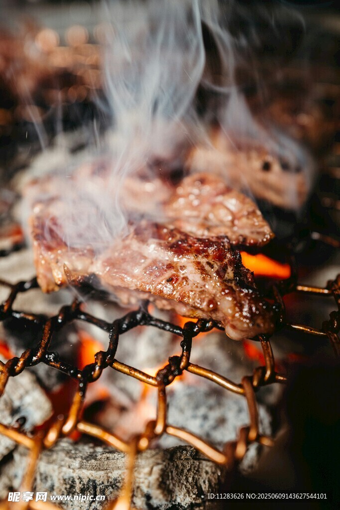 炭火上滋滋冒熱氣的烤肉