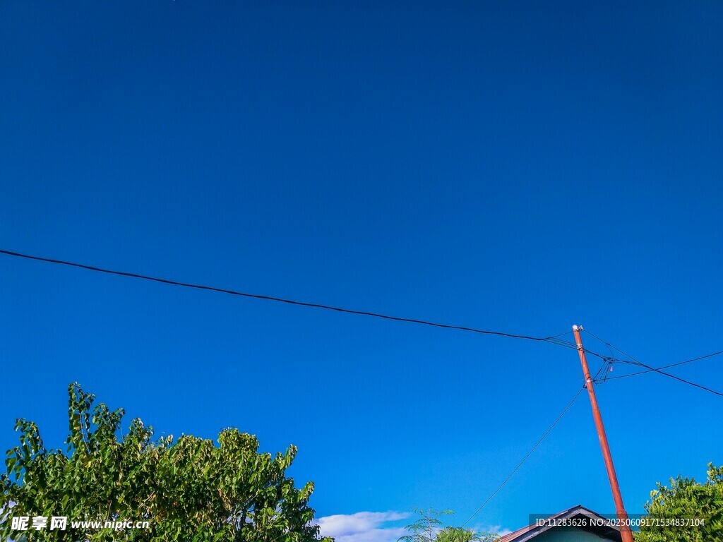 藍天綠樹間的電線桿
