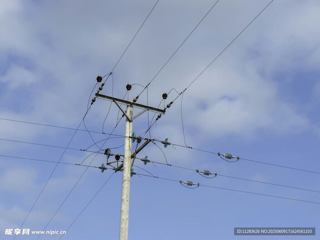 電線上的鳥兒