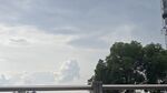 戶外天空下的綠樹與建筑