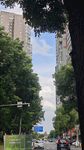 城市林蔭道路街景