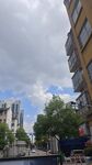 城市街道旁的建筑與綠樹