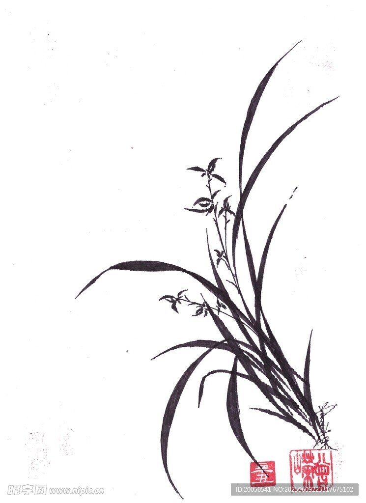 水墨蘭花圖