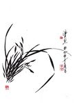 水墨蘭花圖