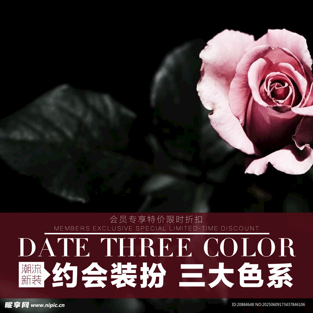 約會粉玫瑰