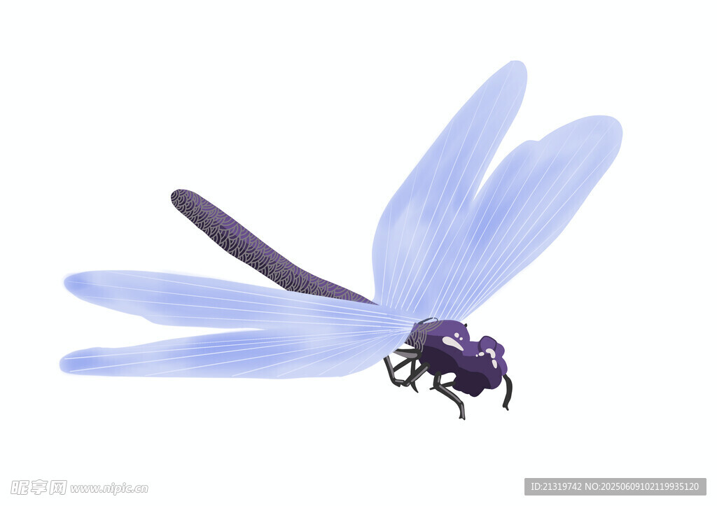 手繪蜻蜓插畫