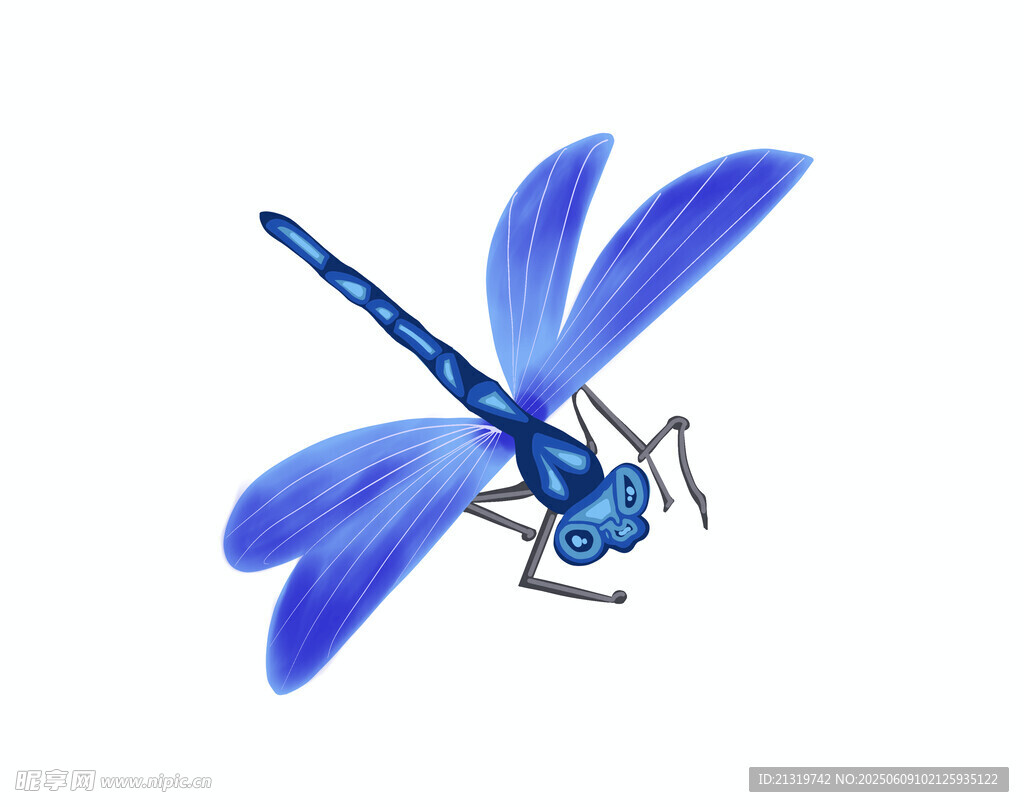 蜻蜓手繪插畫