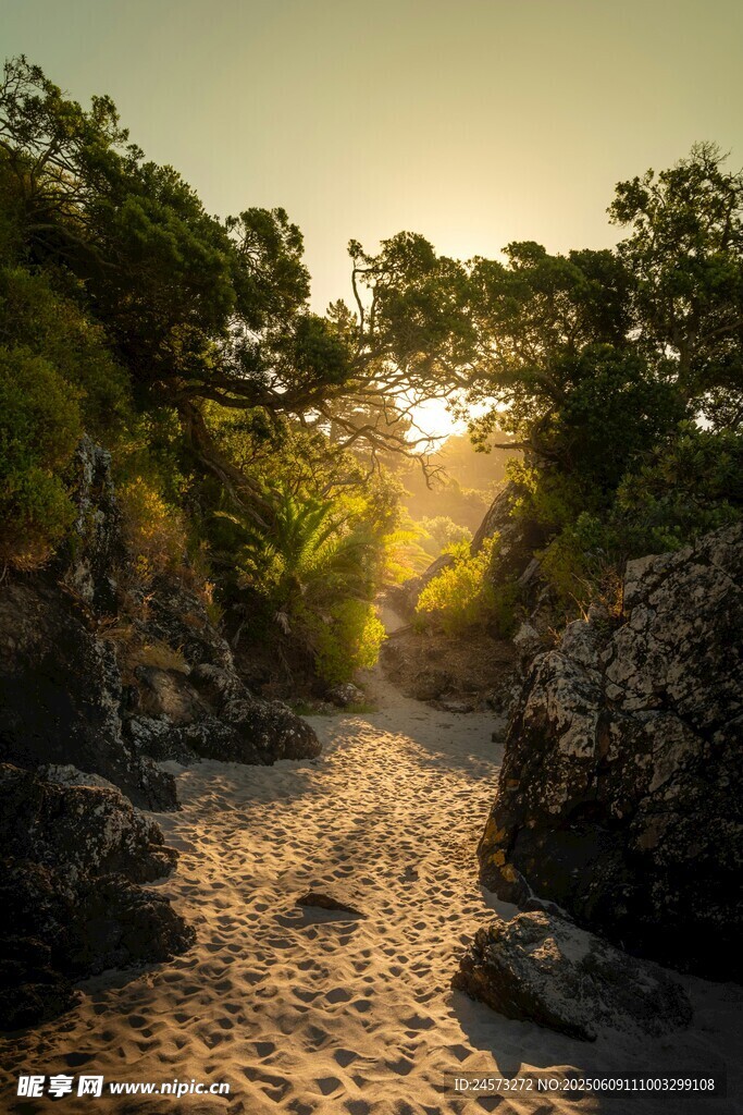 夕陽下的林間沙石小道
