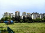 城郊綠地旁的建筑群