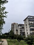 小區住宅樓周邊綠化景觀