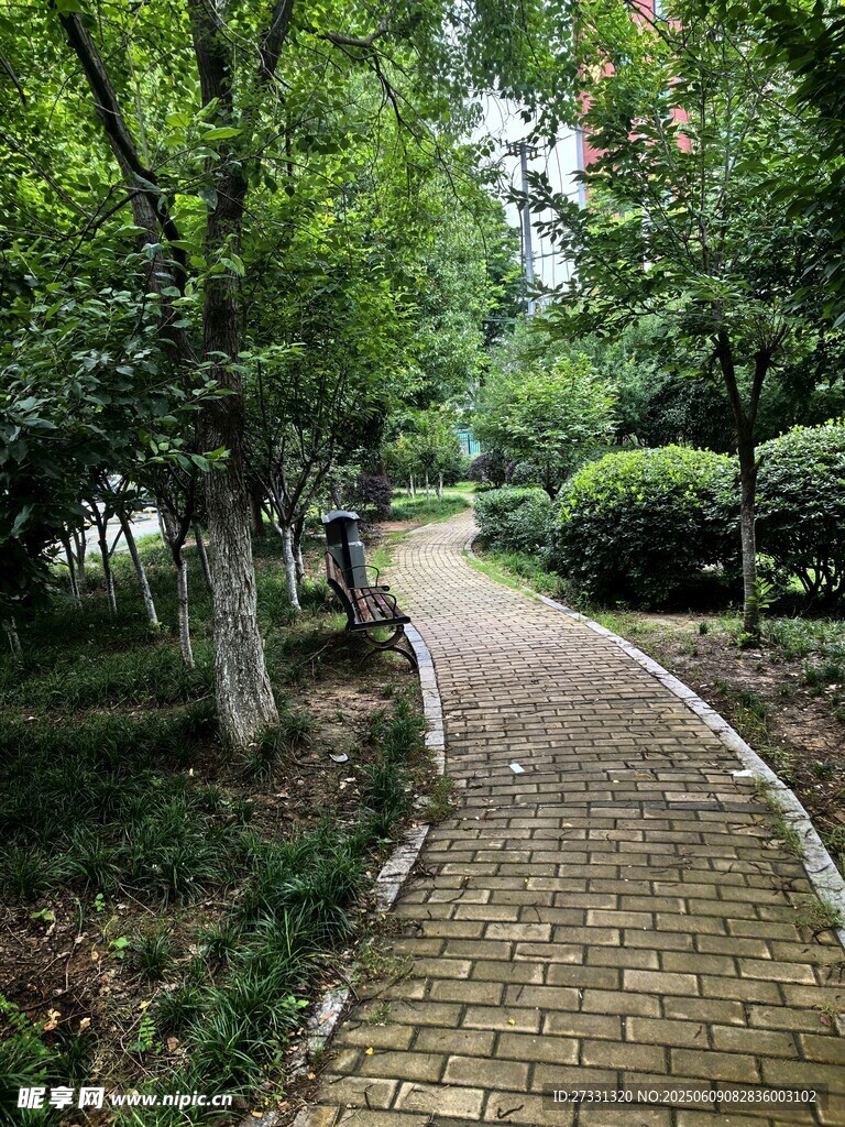 林間磚石小徑綠意盎然