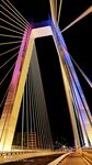 璀璨夜景下的絢麗斜拉橋