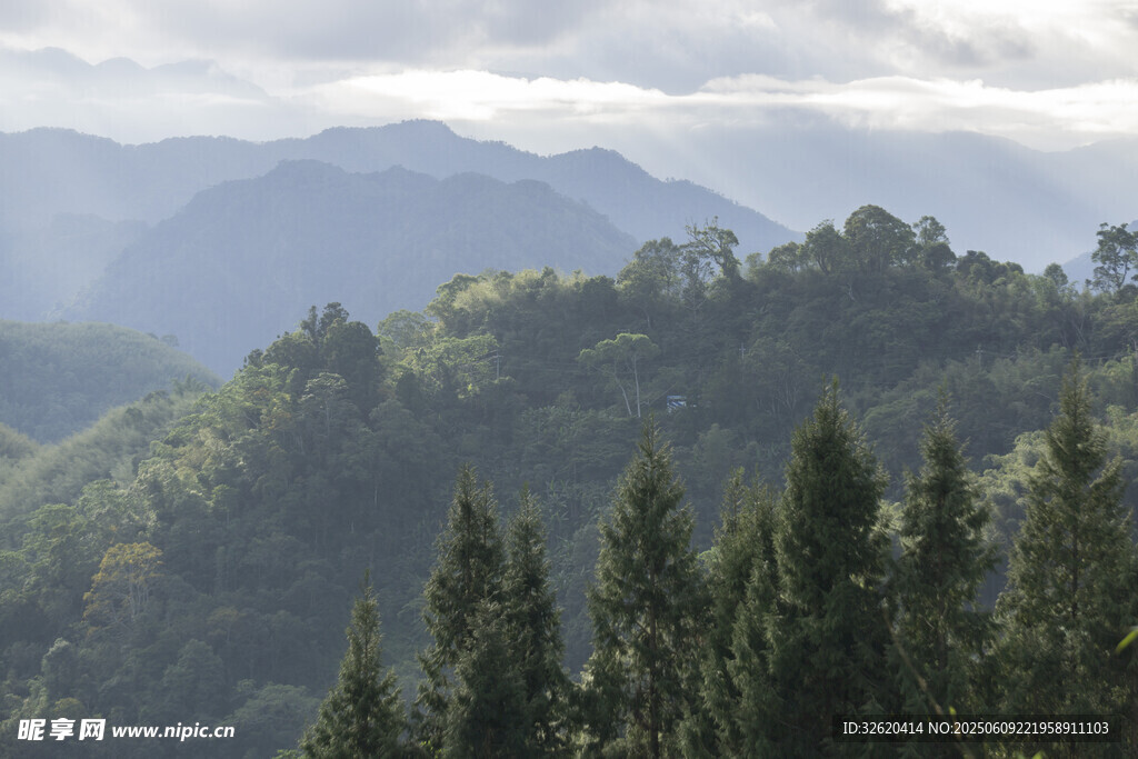 山巒林海