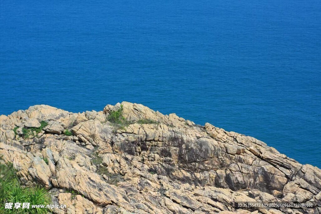 大海