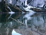 山間靜謐湖水與殘枝倒影