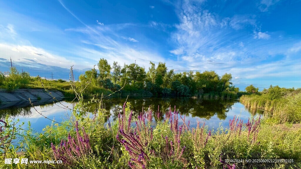 湖畔花草與藍天綠樹美景