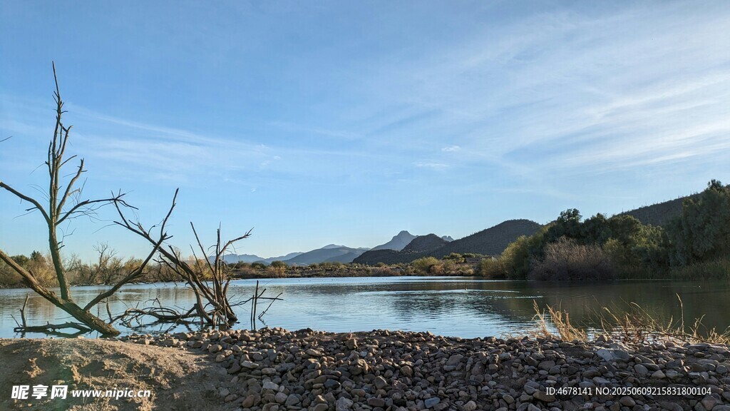 湖畔枯樹與藍(lán)天美景