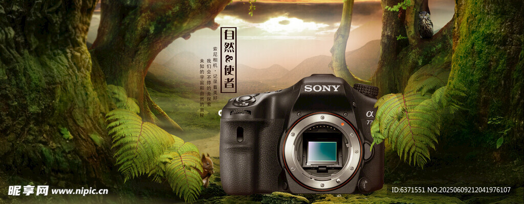 單反banner