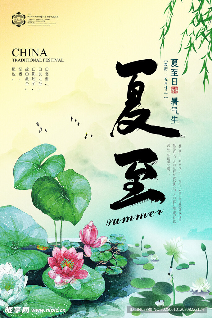 夏至二十四節氣荷花夏天海報