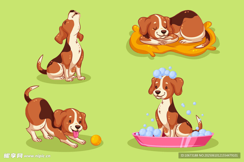 可愛小獵犬的多樣生活瞬間